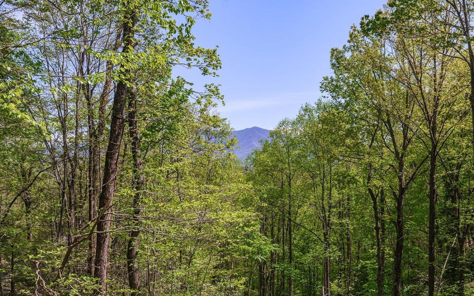 Grand Ole Chalet - Mt Viewsfireplacefirepitarcade Gatlinburg Dış mekan fotoğraf